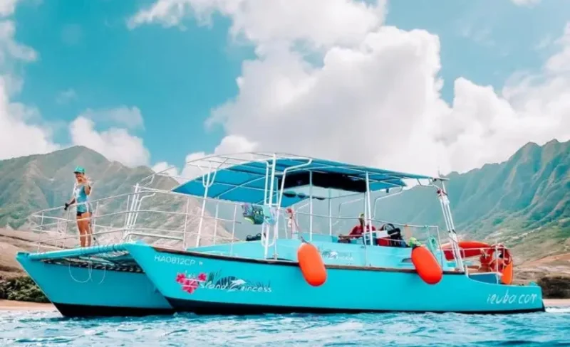 Waikiki Turtle Canyon Snorkeling Tour