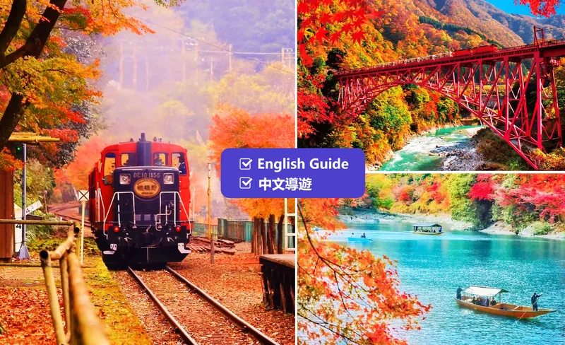 Autumn Leaves Season | Kyoto Arashiyama & Sagano Train (Optional Experience) & Sanzen-in Temple Day Tour | Depart from Osaka/Kyoto
