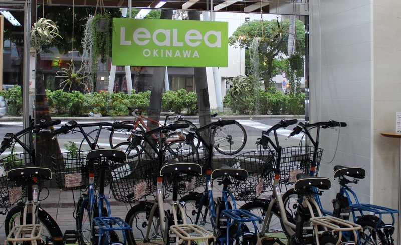 Electric-Assisted Bike Rental in Okinawa