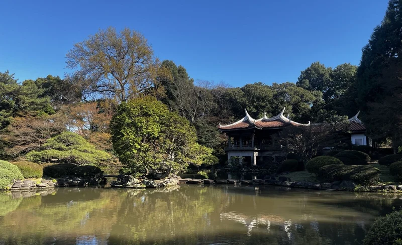 Tokyo City, Shinjuku & Shibuya One Day Walking Tour