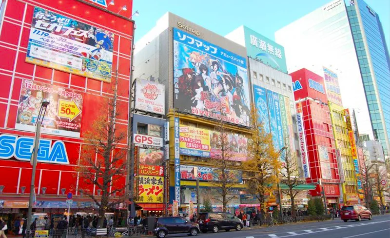 Akihabara Anime Manga Half Day Private Walking Tour