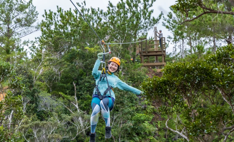 Fly Zipline Experience at Matayoshi Coffee Farm