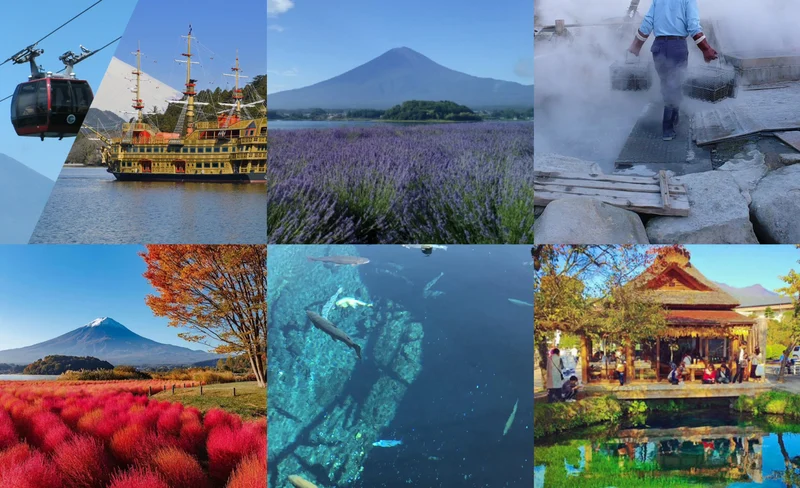 [Fuji Hakone Check-in Day Tour] Pirate Ship & Owakudani Round Trip Cable Car & Oishi Park & Oshino Hakkai (Depart from Tokyo)