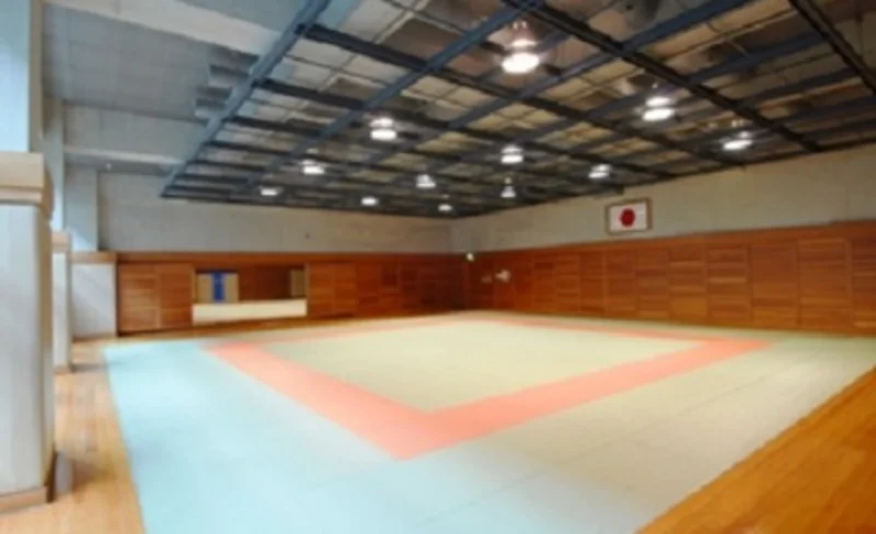Take an Aikido Lesson and Discover the Spirit of Japan
