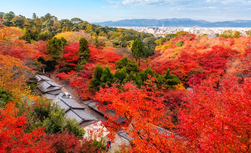 Autumn Leaves Season｜One-Day Tour of Kyoto Tofukuji Temple, Fushimi Inari Shrine, and Kifune Shrine｜Small Group for 4-13 People