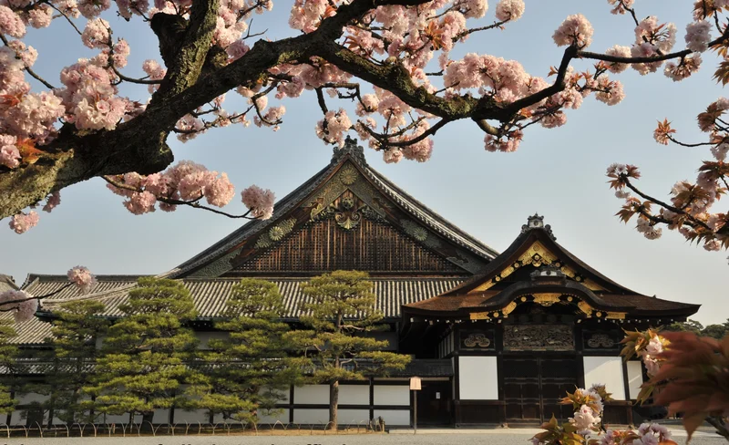 Kyoto Day Tour