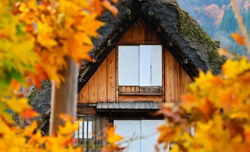 Shirakawago & Gujo Hachiman & Hida Takayama One Day Tour from Nagoya