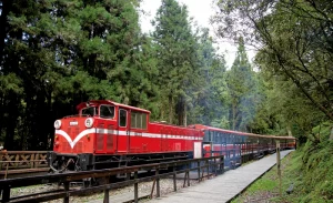 Sun Moon Lake & Alishan Private 3-Day Tour from Taipei