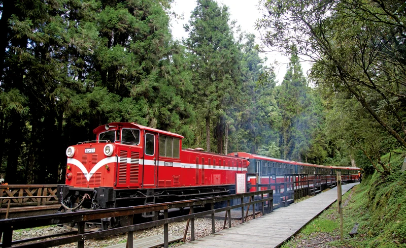 Sun Moon Lake & Alishan Private 3-Day Tour from Taipei