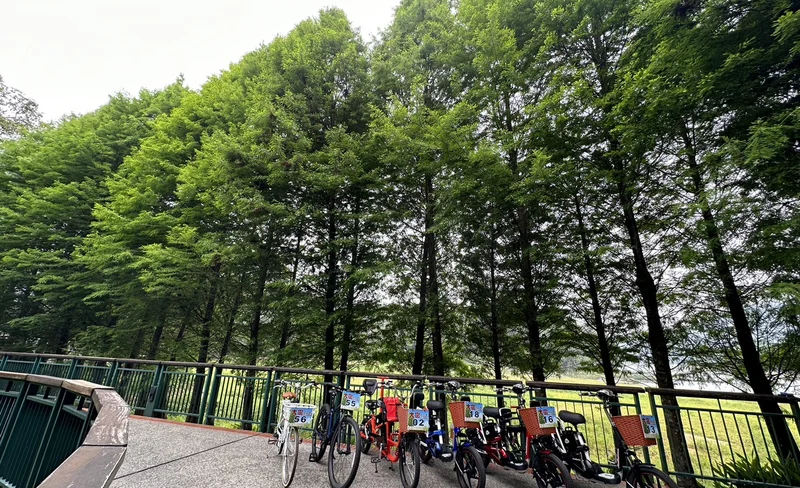 Sun Moon Lake Big Tree Electric Bike Rental Voucher