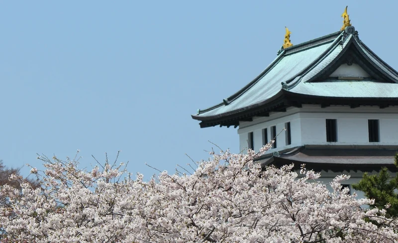 Downtown Hakodate - Matsumae Bus Transfer Ticket