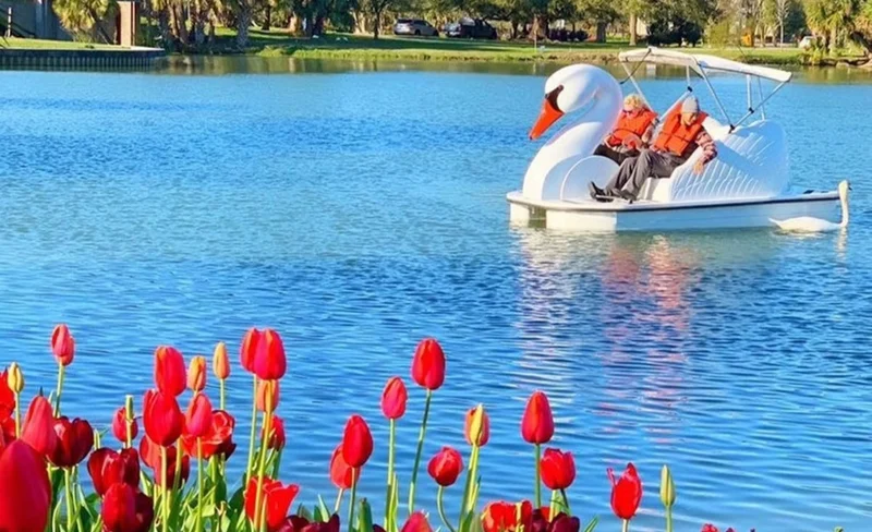 Swan Boats Rental in Echo Park Lake Los Angeles