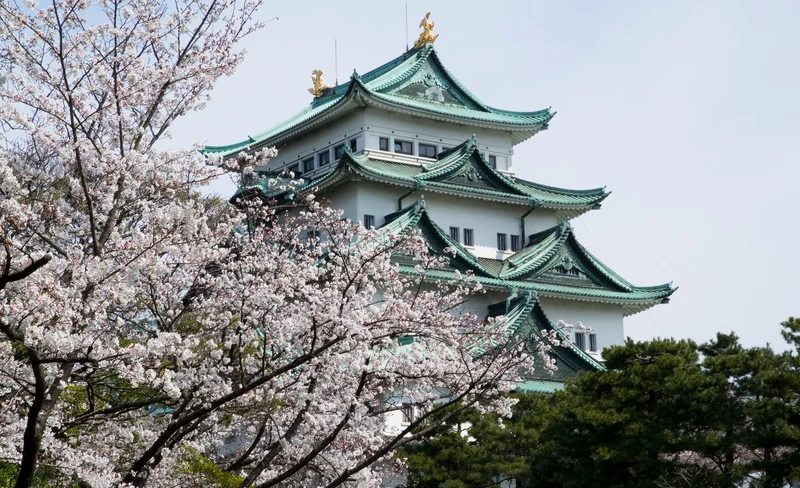 Explore Castles Tour in Samurai City Aichi Using Local Train