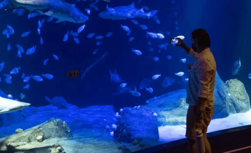 New York Aquarium ticket