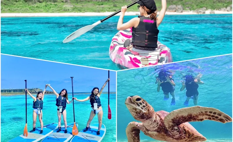 Miyakojima Sea Turtle Snorkeling & Beach SUP or Canoeing Full Day/Half Day Experience (Okinawa)