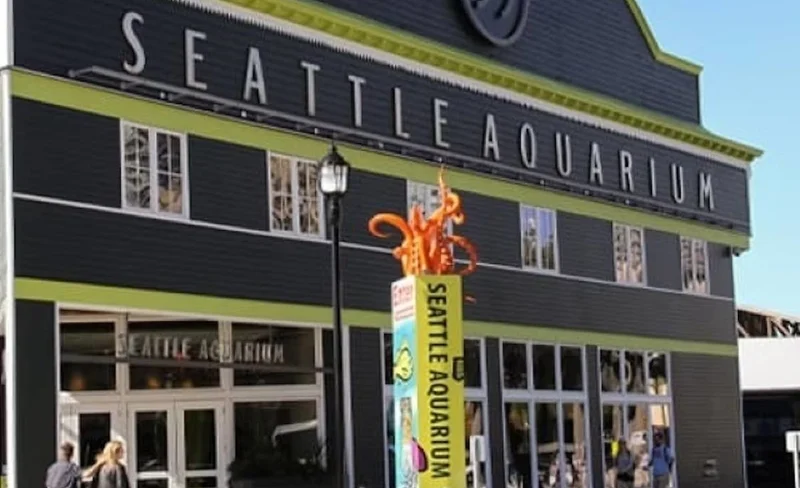 The Seattle Aquarium Entry Ticket