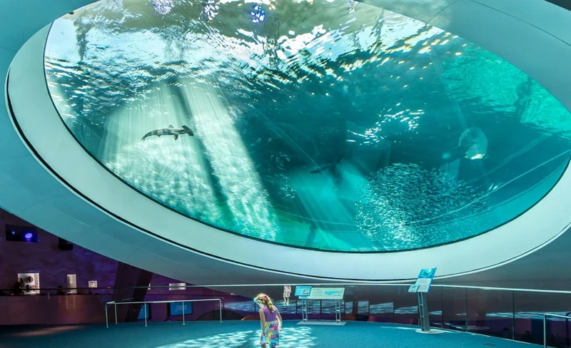 Phillip & Patricia Frost Museum of Science Ticket in Miami