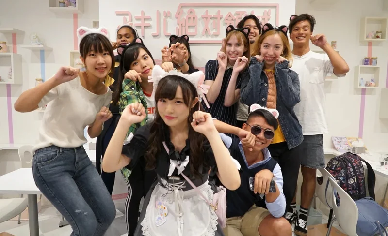 Akihabara Anime & Gaming Adventure Walking Tour in Tokyo