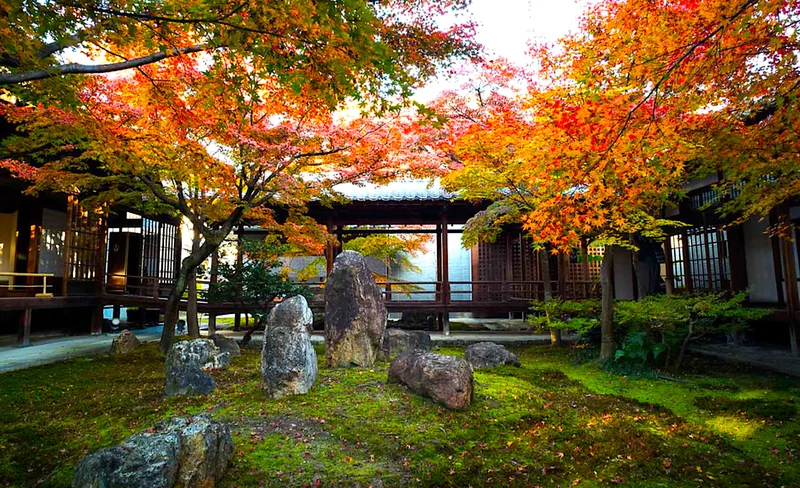 Kyoto Highlights Private Day Tour