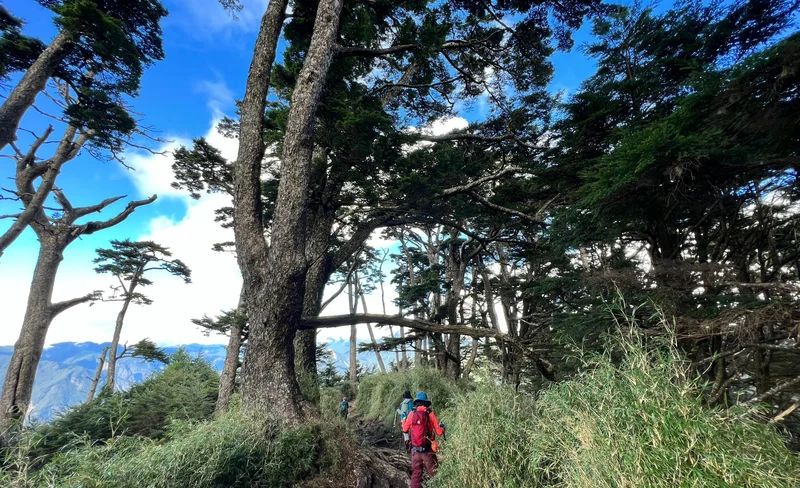 Nanheng Three-Star Mountaineering Tour: Taguan Mountain & Guanshanling Mountain & Kuhanosing Mountain (Departure from Taipei)