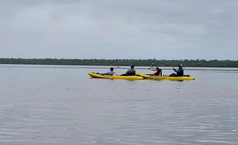 Everglades National Park Kayaking and Nature Walk with a Naturalist