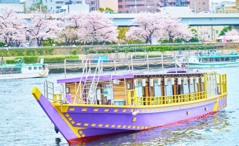 Tokyo Bay Sightseeing Houseboat Experience with Japanese Cuisine