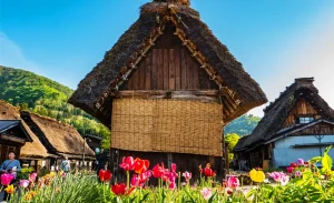 Gifu: Hida Takayama & Shirakawa-go Gassho Village Day Tour (Small Group Tour) (Departs from Nagoya, Optional Hotel Pickup)