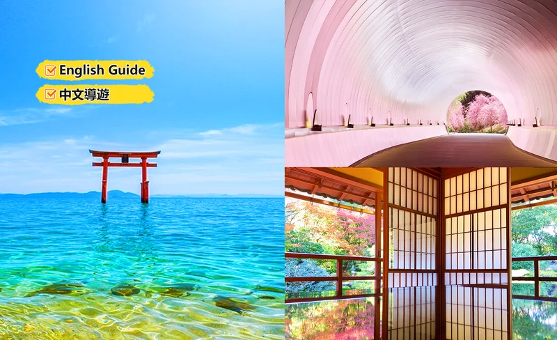 Lake Biwa&Shirasu Shrine&Old Bamboo Forest One-day Tour |Osaka/Kyoto