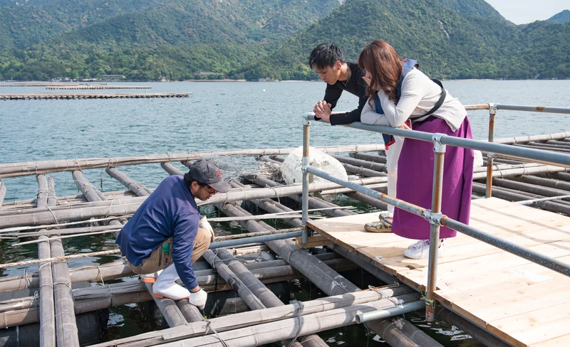 Witness Hiroshima Oyster Harvest & Interact with Local Oyster Farmer