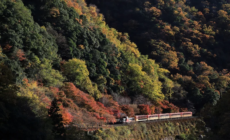 Arashiyama Tour with Optional Sagano Romantic Train Ride