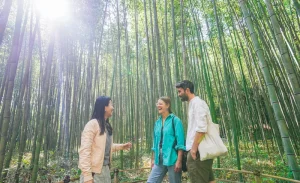 Kyoto Arashiyama Bamboo Forest & Garden Half Day Walking Tour