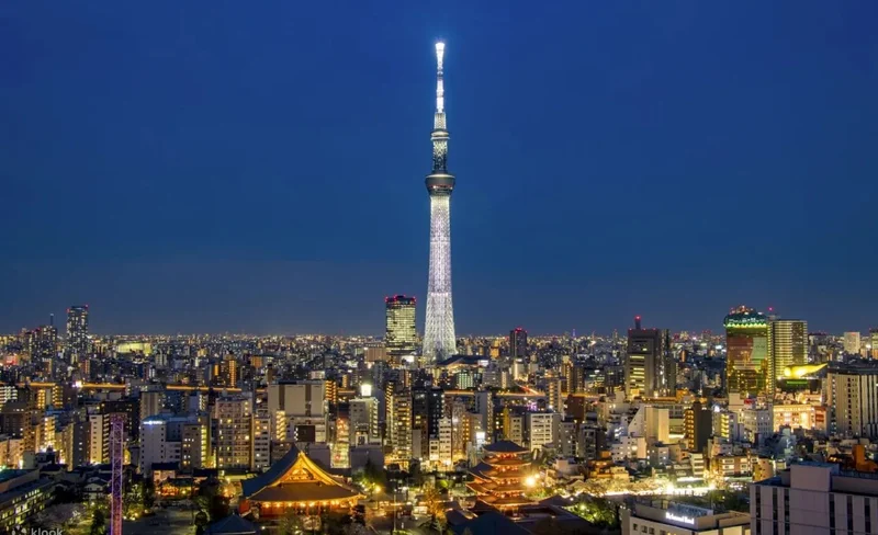 [Private charter] Tokyo city to Tokyo Disneyland/Mount Fuji/Karuizawa/Nagano/Niigata and other areas