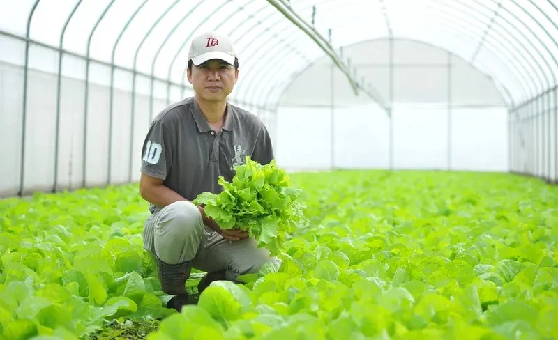 Formosa Yangmei Organic Ecology Farm Guided Tour and DIY Experience in Taoyuan