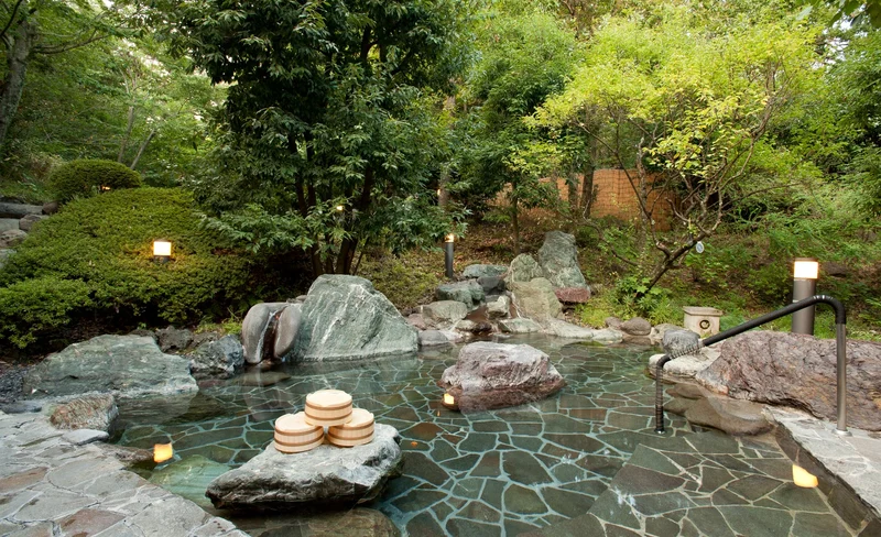 Izukogen no Yu Onsen Experience in Ito