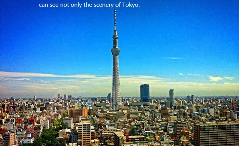 Tokyo City, Private and Customized Walking Day Tour