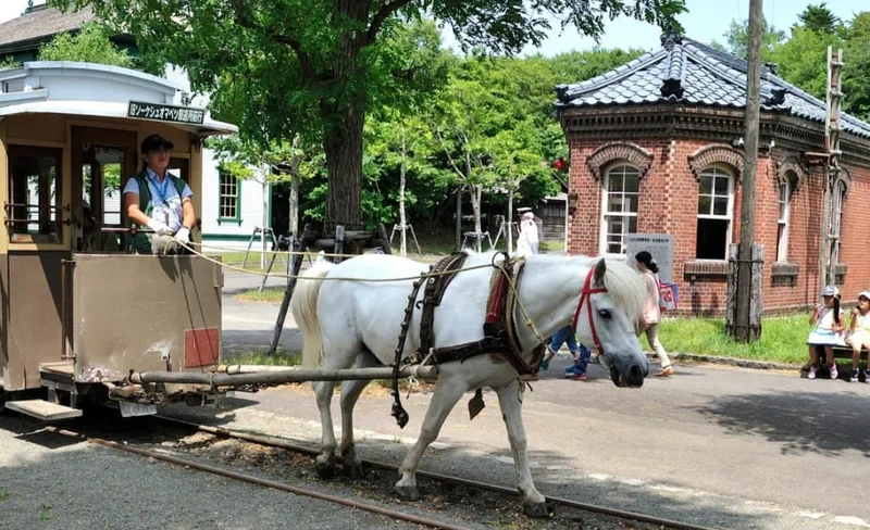 Family Day Tour in Sapporo with Local Guide