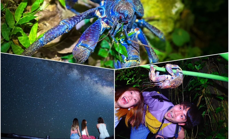 Ishigaki Island/Night Starry Sky & Jungle Night Tour (Okinawa)
