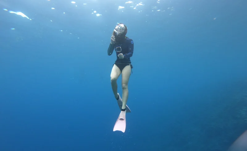 1 Day Snorkel Diver License Course in Okinawa