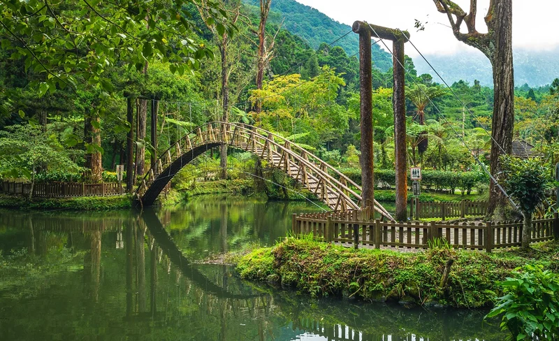 Nantou Xitou Forest Recreation Area Day Tour - Depart from Taichung