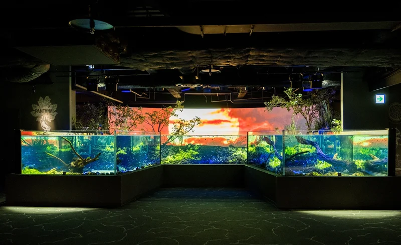 Kawasui Kawasaki Aquarium Admission in Kanagawa