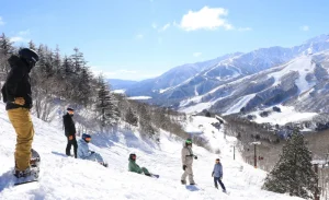 Hakuba Ski Resort – Narita Airport – Haneda Airport – Tokyo Shuttle Bus