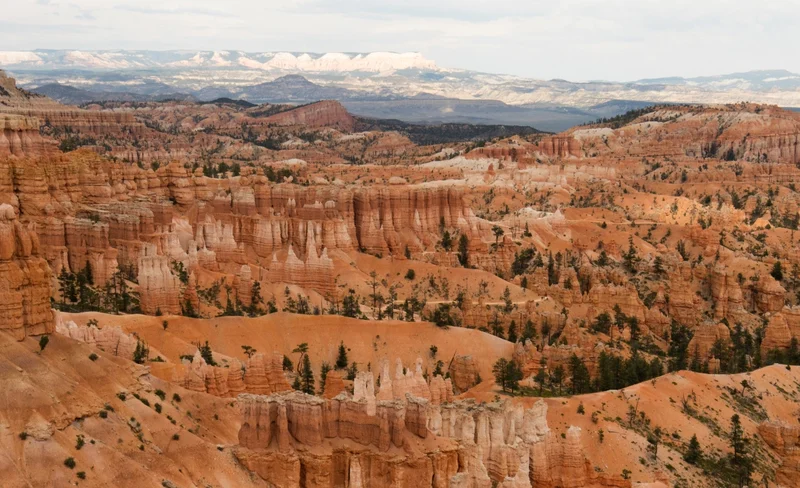 4D3N Las Vegas and Western Desserts Tour from Los Angeles