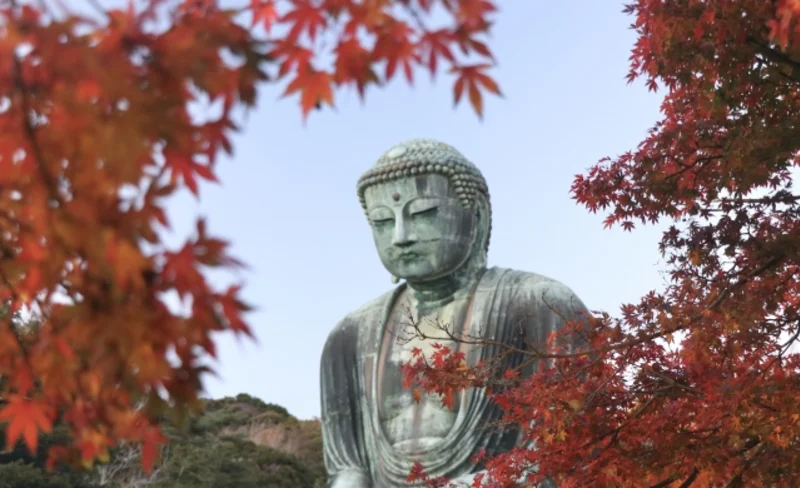 Kamakura Half Day Tour : 100% Personalized & Private
