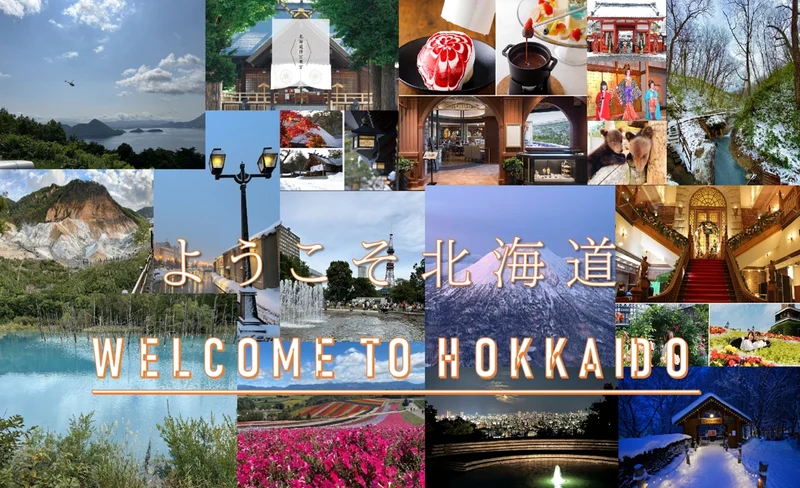 Hokkaido Chartered One Day Car Tour (English Speaking Driver)