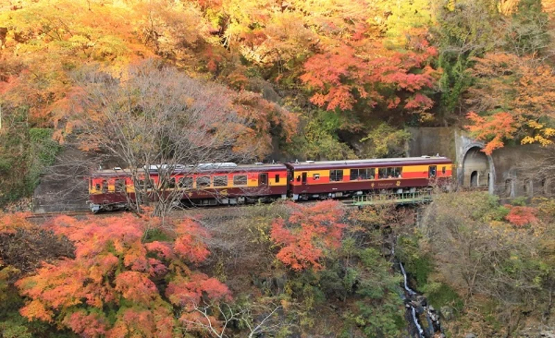 Watarase Valley & Takatsudo Gorge Autumn Maple Day Tour from Tokyo