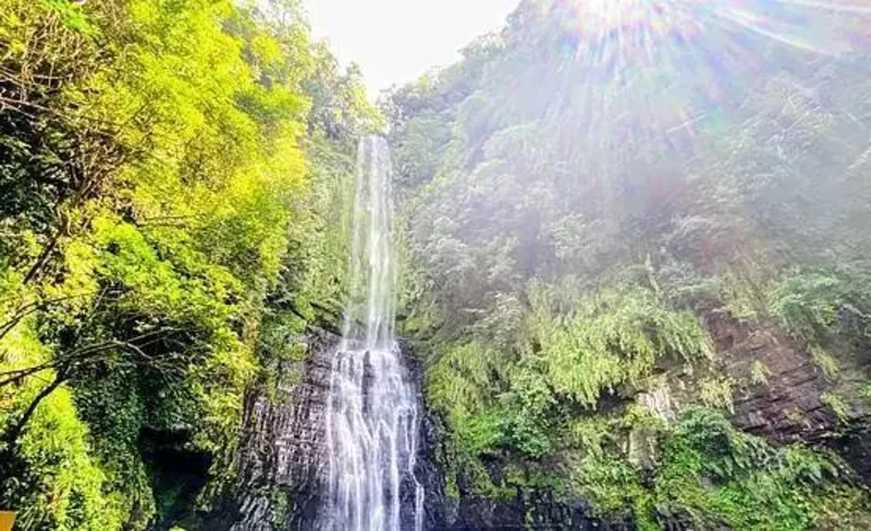 Yilan: Carpool One Day Tour - Zhangmei Grandma Farm & Qingshui Geothermal Park & Xingbao Onion Experience Farm (Depart from Taipei)