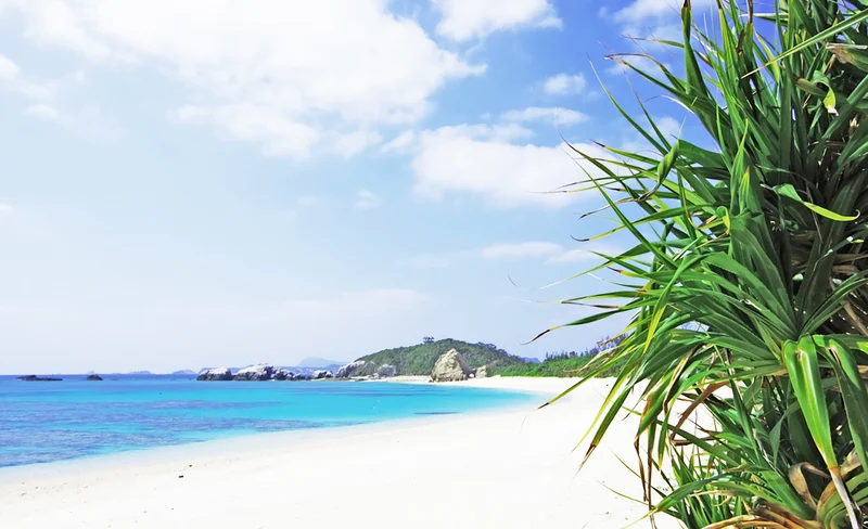 Spectacular View of Kerama Blue! Tokashiki Island Day Tour