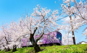 Arashiyama Gourmet Coupon + Randen 1 Day Free Ticket
