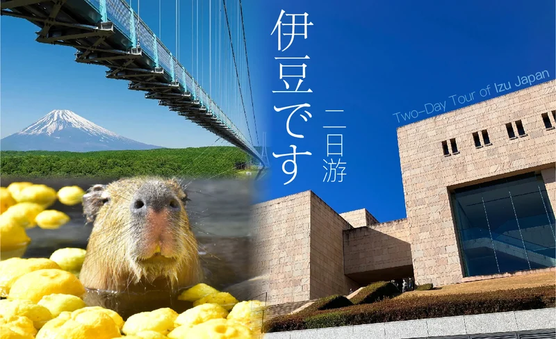 [Atami & Izu Onsen 2-Day Tour] MOA Museum & Kinomiya Shrine & Mishima Skywalk & Shuzenji Takitei Onsen & Omuroyama & Jogasaki Coast 2-Day Tour (Depart from Tokyo)