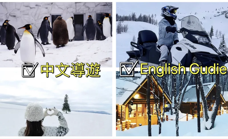 Hokkaido Classic Day Tour｜Asahikawa Zoo & Shikicai Hill & Internet Celebrity Tree (Depart from Sapporo)